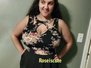 Roseiscute
