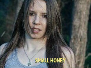 SMALL_HONEY