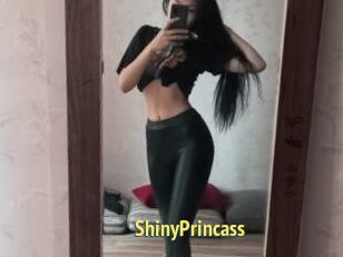 ShinyPrincass