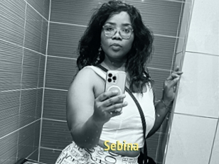 Sebina