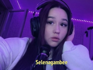 Selenagambee