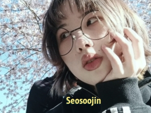 Seosoojin