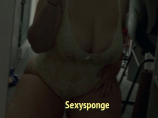 Sexysponge