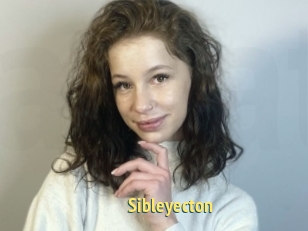 Sibleyecton