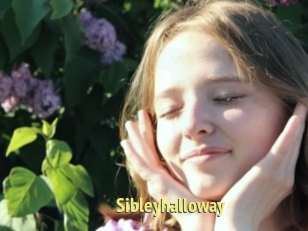 Sibleyhalloway