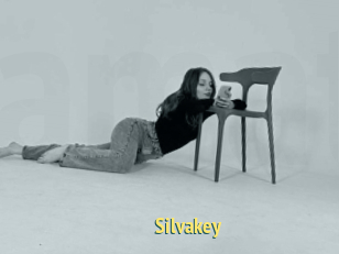 Silvakey
