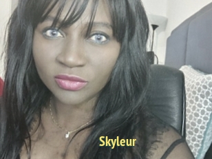 Skyleur