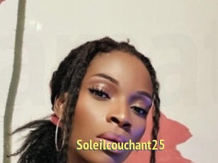 Soleilcouchant25