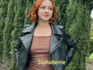 Sophicherrie