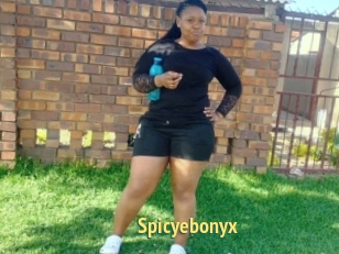 Spicyebonyx