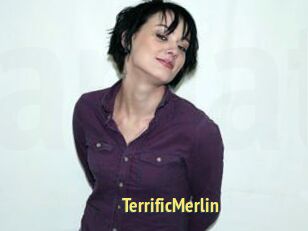 TerrificMerlin