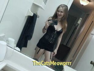TheCatsMeowprrr