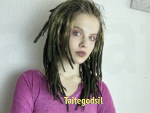 Taitegodsil