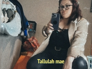 Tallulah_mae