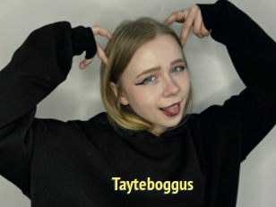 Tayteboggus