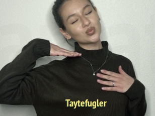 Taytefugler