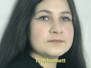 Taytehammett