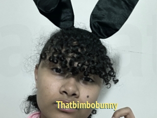 Thatbimbobunny