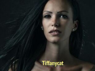 Tiffanycat