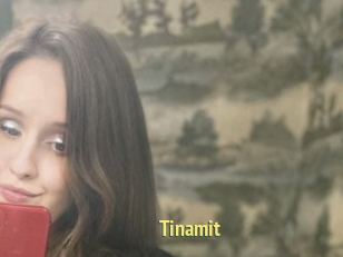 Tinamit