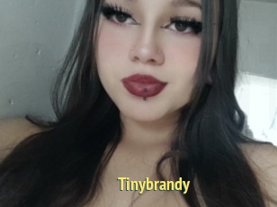 Tinybrandy