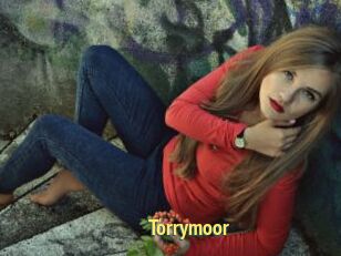 Torrymoor