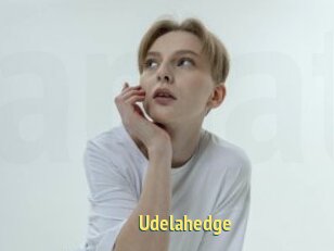 Udelahedge