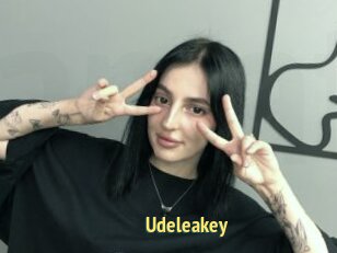 Udeleakey