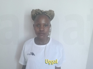 Uggal