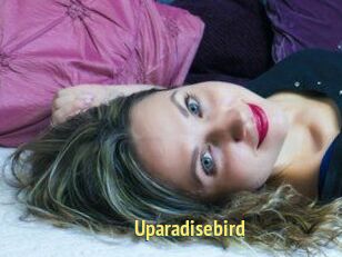 Uparadisebird
