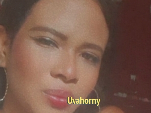 Uvahorny