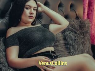 VenusCollins