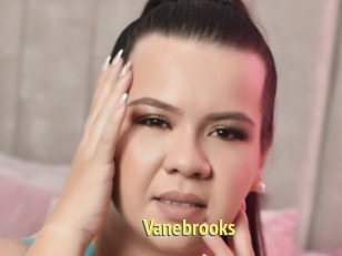 Vanebrooks
