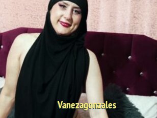 Vanezagonzales