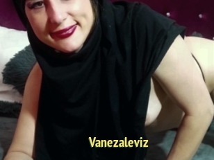 Vanezaleviz