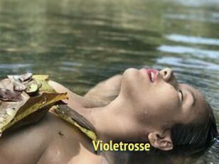 Violetrosse