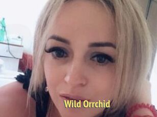 Wild_Orrchid