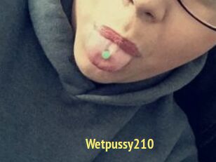 Wetpussy210