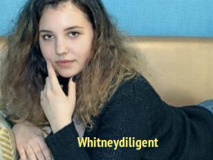 Whitneydiligent