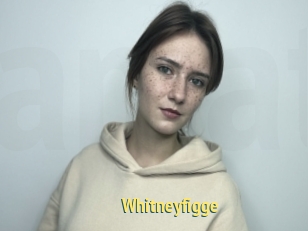 Whitneyfigge