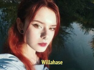 Willahase