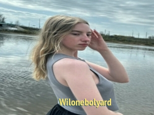 Wilonebolyard