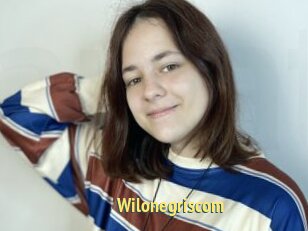 Wilonegriscom