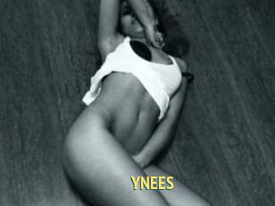 YNEES