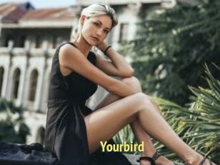 Yourbird