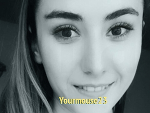 Yourmouse23