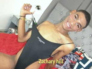 Zachary_hill