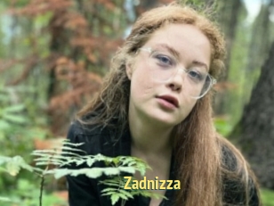 Zadnizza