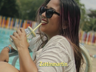Zattinmartin
