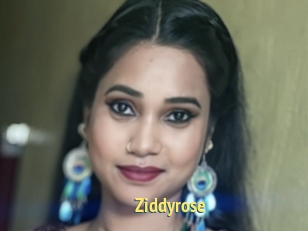 Ziddyrose